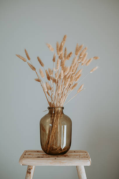 istock Clean minimal decor with dried flowers 2249829296