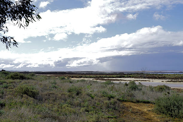 istock Sea Lake, Mallee County Victoria, Australia 2249829734