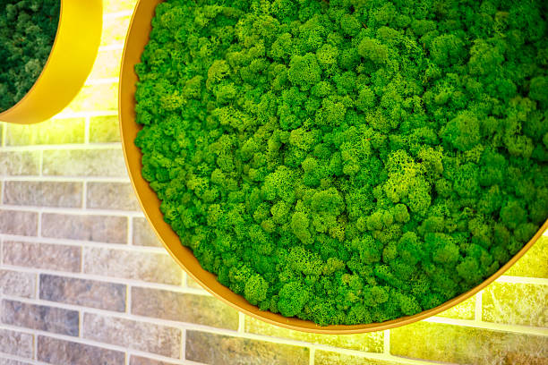 istock decorative grass in the interior on a brick wall 2249831560