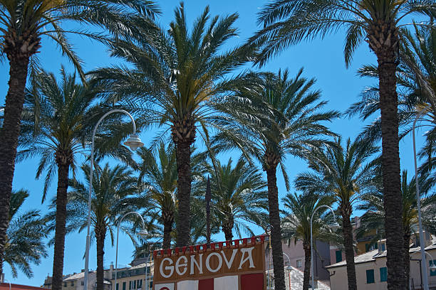 istock Palm Trees and Genova banner 2249831723