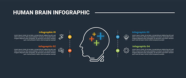 istock Human Brain anatomy infographic process diagram with side view head with plus sign and quadrant structure with dark background bright outline style 4 points 2249833389