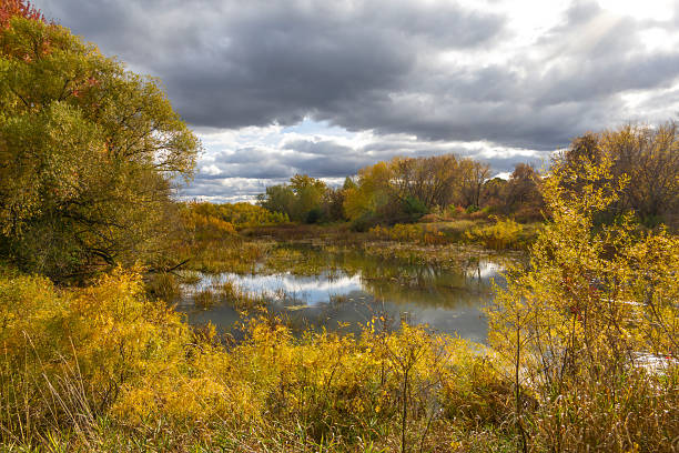 A tranquil fall scene along Ontario's Long Sault Parkway, capturing the vibrant autumn colors and serene reflections of the landscape.