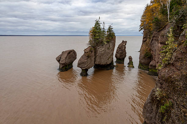 istock Hopewell Rocks, New Brunswick 5 2249835104