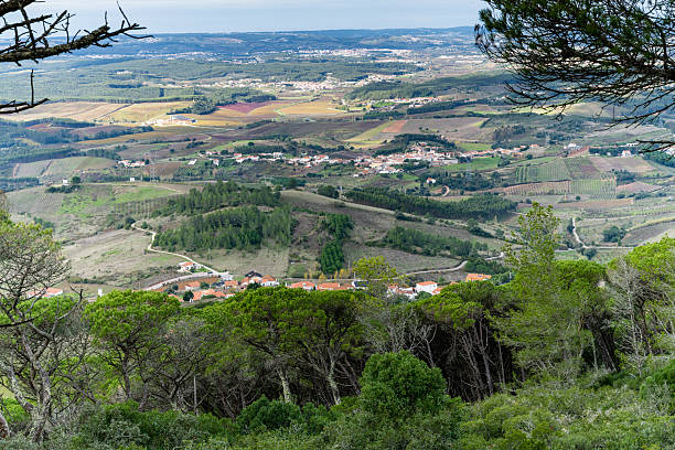 istock Wide agricultural valley seen from mountain overlook 2249835218