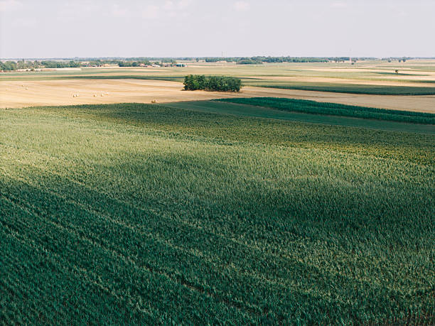 A high-resolution aerial, top-down photograph showing a wide rural landscape composed of neatly organized agricultural fields. Different crops, including corn, wheat, and various grains, create contrasting textures and geometric shapes across the landscape. The mix of green, yellow, and earthy tones emphasizes the seasonal growth of the fields, capturing the beauty and structure of modern farming from above.