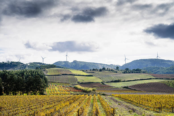 Alenquer Portugal November 29 2025. Light smoke rises from a rural valley surrounded by autumn vineyards and hills