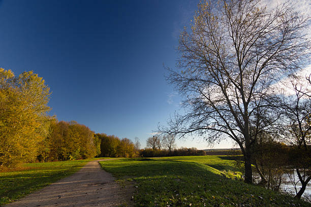 A tranquil park scene displays an autumn pathway surrounded by vibrant trees and grass, under a cloudless blue sky. This picturesque outdoor setting conveys calmness, natural beauty, and peacefulness.