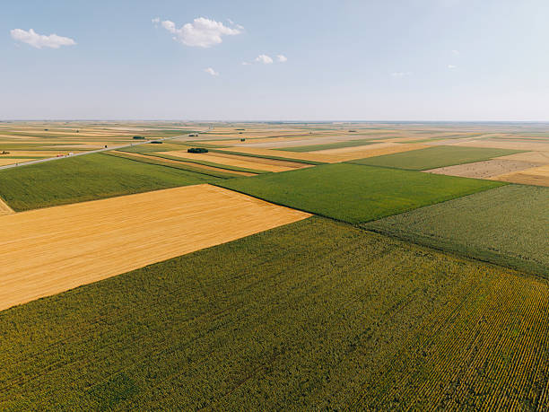 A high-resolution aerial, top-down photograph showing a wide rural landscape composed of neatly organized agricultural fields. Different crops, including corn, wheat, and various grains, create contrasting textures and geometric shapes across the landscape. The mix of green, yellow, and earthy tones emphasizes the seasonal growth of the fields, capturing the beauty and structure of modern farming from above.