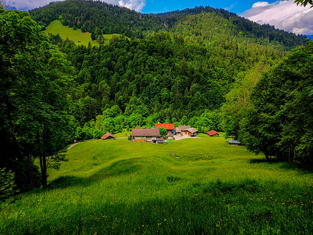 A spectacular wide-angle view of a steep, narrow mountain valley in the Carpathian Mountains, Romania. The valley floor is covered in a lush, emerald-green pasture, leading up to rocky, imposing slopes. A cluster of rustic wooden sheepfolds (stâne) or mountain cabins sits near the center, accessible by a winding dirt road. This scene perfectly captures the unspoiled nature, traditional pastoral life, and dramatic scale of the high-altitude (alpine) landscape in Transylvania and the Southern Carpathians.