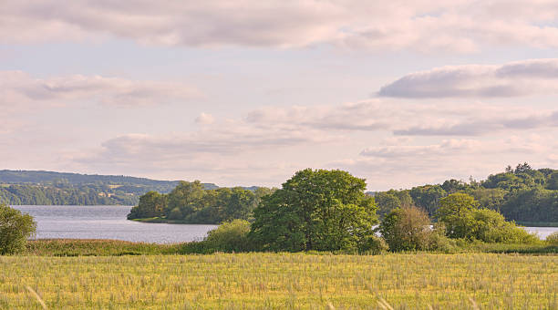 istock Tranquil Danish countryside scene with a calm lake, rolling fields, and lush trees under a soft pink sky, capturing peaceful rural life in Denmark 2249847521