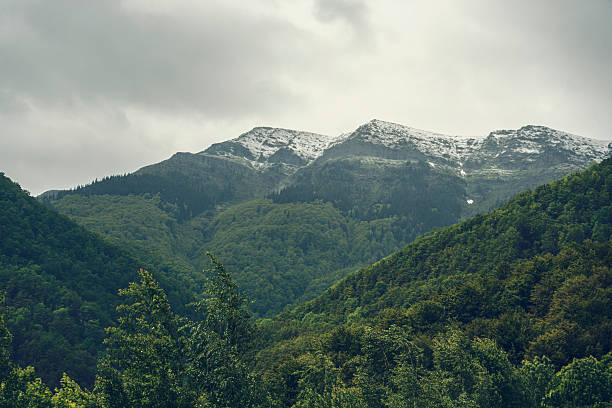 Panoramic shot of nature rolling landscape with lush green forests & snow capped mountain peaks under dramatic sky in rainy season. Environmental regeneration.