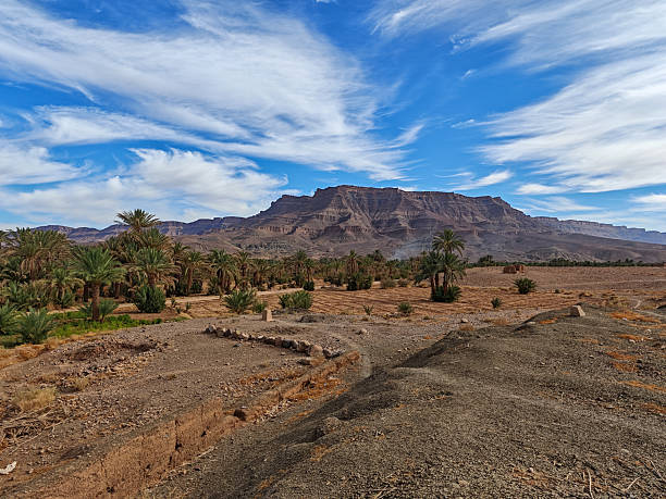istock Dry valley floor with lush palm groves and a dramatic mountain ridge background in Tamzmoute 2249851148