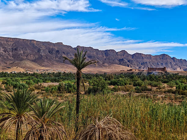 istock Lush green palm oasis in the Tamzmoute valley with a rugged mountain range background in Morocco 2249851168