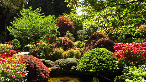 istock Colorful Trees and Bushes in a Formal Garden 2249854030