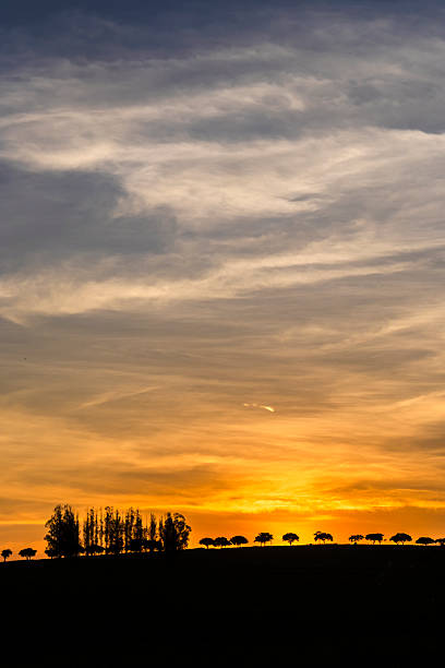 istock silhouette of trees on the horizon 2249854909