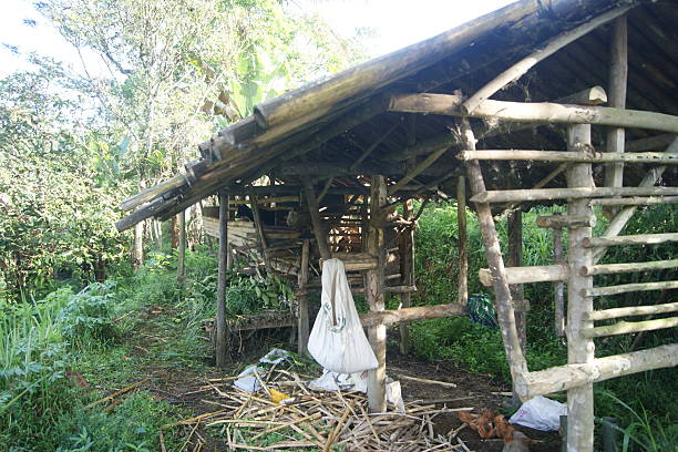istock Rustic wooden structure with a thatched roof in a rural setting. 2249858940