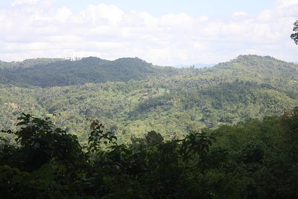 istock Scenic view of lush green mountains and dense forest under cloudy sky. 2249858995