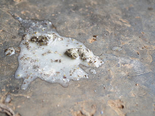 Close-up shows a messy spill of a white, viscous liquid substance over a grey concrete surface, creating a stark visual contrast and textural interplay.
