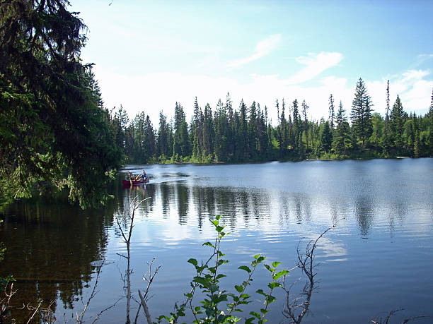 istock Canoeing with the forest around the lake 2249870476