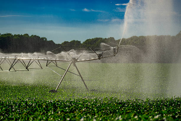 istock Irrigation system is watering summer field. Automatic Sprinkler irrigation system watering in the vegetable farm. Sprinkler Irrigation system for watering a farm lawn. Agriculture irrigation. 2249870924