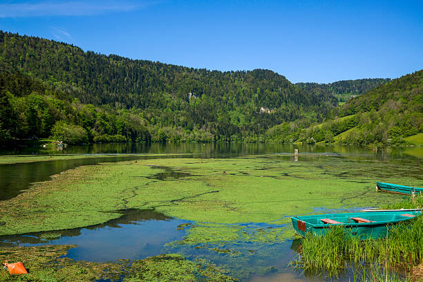 Large, smooth rocks line the edge of a mountain lake, with clear water gently washing over the rugged shoreline. The forested hills and overcast sky create a serene, untouched natural landscape perfect for peaceful contemplation.
