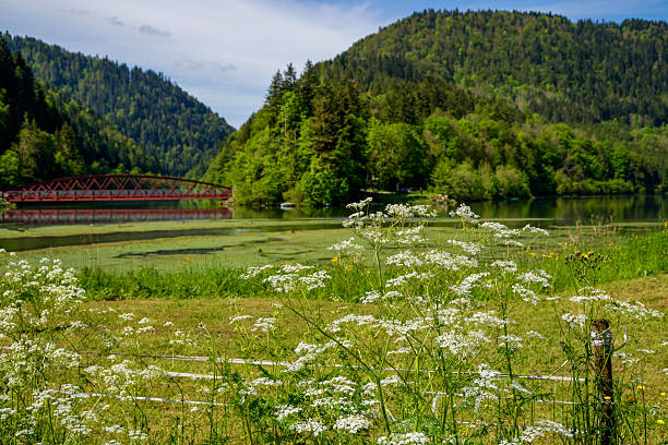 Along the Doubs river in eastern France. The Doubs is a 453-kilometre river in far eastern France which strays into western Switzerland.