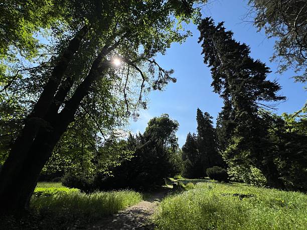 Horticultural monument arboretum Opeka (Croatia) - Das Arboretum Opeka oder Pflanzensammlung im Park von Schloss Opeka (Kroatien) - Hortikulturni spomenik arboretum Opeka (Vinica, Hrvatska)