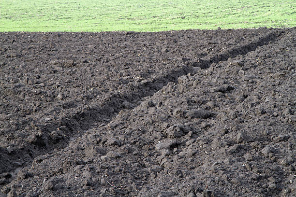 istock Plowed land in autumn. 2249874984