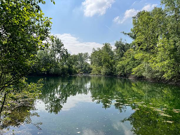 istock Jarun Lakes or Zagreb's Jarun Lake (Zagreb, Croatia) - Jarun-Seen oder Zagrebs Jarun-See (Zagreb, Kroatien) - Jezero Jarun ili zagrebačko Jarunsko jezero (Zagreb, Croatia) 2249876604