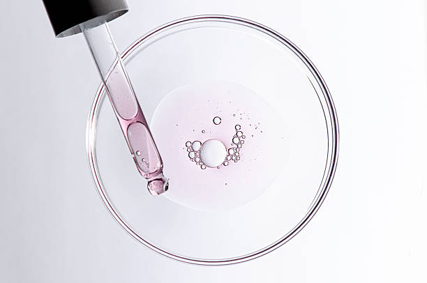 istock A sample of body cosmetics in a Petri dish. 2249878209