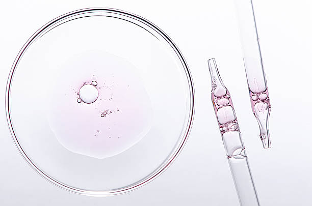 istock A sample of body cosmetics in a Petri dish. 2249878277