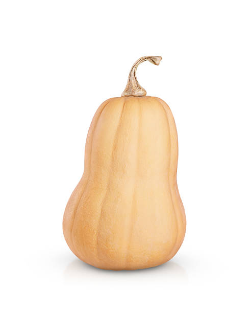 beautiful butternut squash is isolated on a white background