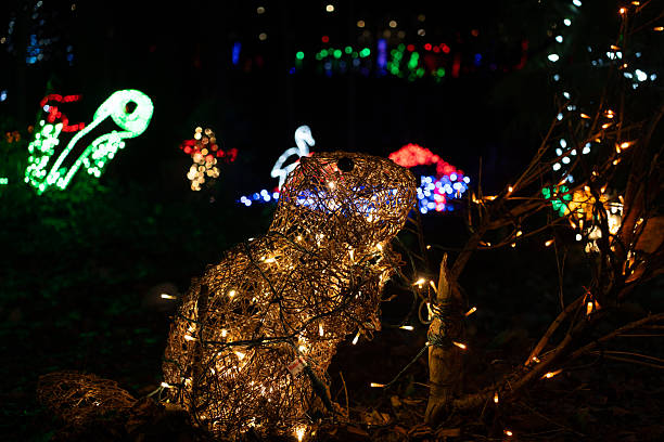 istock Christmas Lighting Celebrations 2249884129