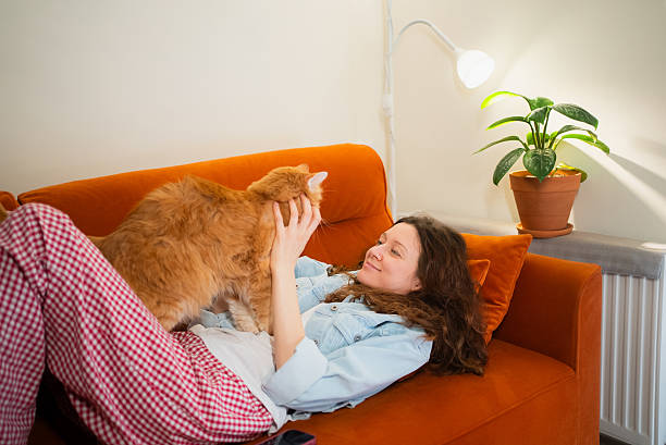 istock Woman relaxing on an orange sofa, sharing a loving bonding moment with her ginger cat, finding comfort and companionship in their peaceful domestic life at home 2249884491