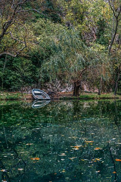 Small Rowboat Docked by Weeping Willow Tree Reflected in Tranquil Deep Green Water with Floating Autumn Leaves Secluded Forest Pond