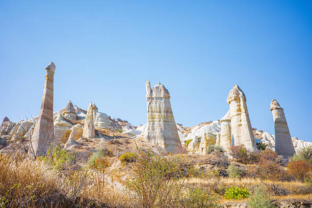 A stunning panoramic view of Cappadocia’s famous fairy chimneys—tall, naturally sculpted rock pillars rising from the dry landscape under a bright blue sky. The layered sandstone formations, soft white tones, and surrounding dry vegetation create a dramatic geological scene unique to the region. Ideal for travel content, nature backgrounds, geology themes, tourism promotions, and editorial design