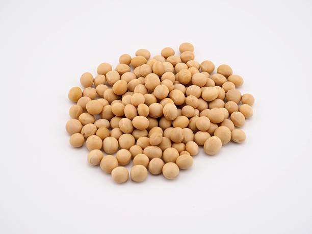 istock Organic Beans, Food, Cooking Ingredients 2249902145