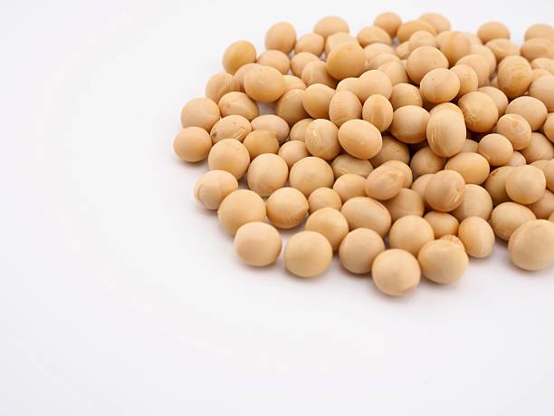 istock Organic Beans, Food, Cooking Ingredients 2249902147