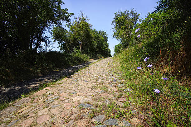 Cobblestone Street in the Brandenburg State, rural scene, Germany
