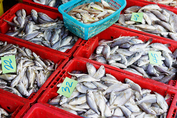istock Fresh Fish Market Display with Various Catches in Baskets 2249908367