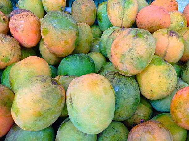 Fresh Ripe Mangoes at Fruit Market
