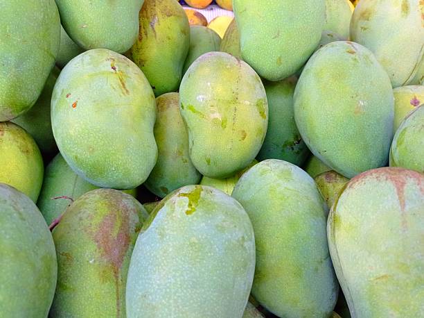 Unripe Green Mangoes Close-Up