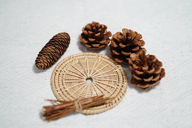 Natural Elements Arrangement with Pine Cones, Rattan Coaster, and Dried Grass on Light Background for Craft, Decoration, and Nature Themes