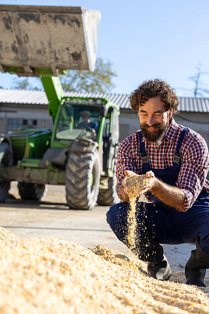 istock Farmer holding cattle feed in hand on ranch 2249912385