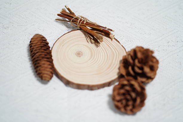 istock Natural Wood Elements on White Background Featuring Round Wood Slice, Pinecones, and Twigs for Rustic Decor and Nature Inspired Design Projects 2249913066