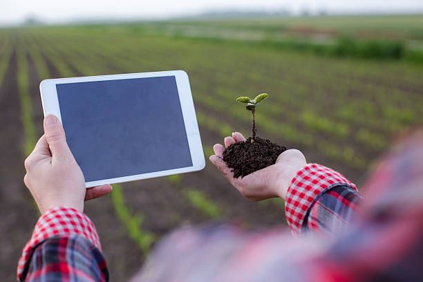 istock Fresh soybean seedling and tablet held by farmer in field 2249914447