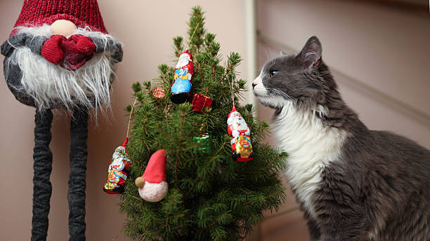 Gray cat next to decorated mini christmas tree with santa figurine and candy ornaments.
