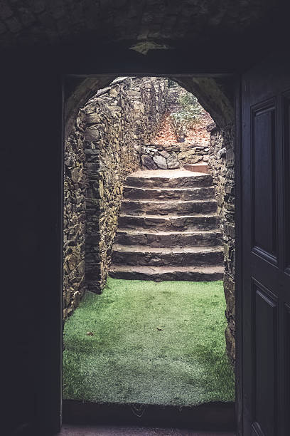 istock Exploring ancient stone steps leading to a lush green pathway in a hidden courtyard 2249917453