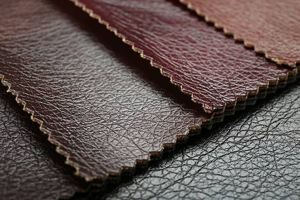 Texture of different leather as background, closeup