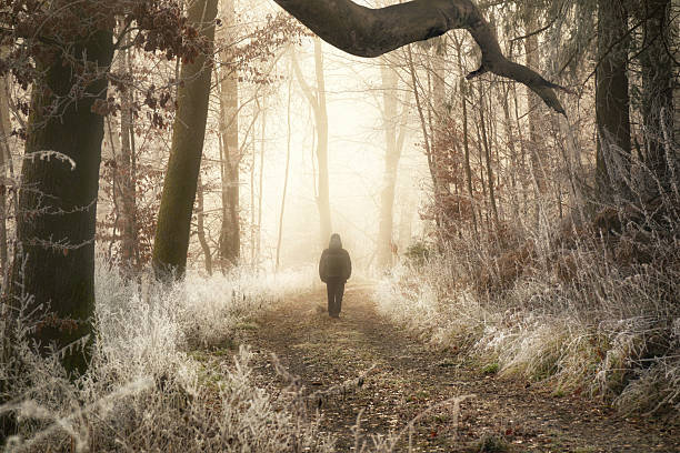 istock Solitary walk in a winter wonderland 2249931675